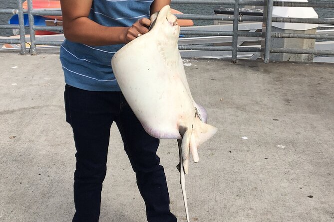 Pier Fishing Tour - San Diego - Inclusions