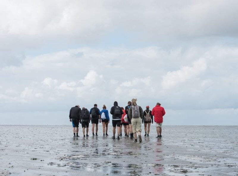 Pieterburen: Wadden Sea Mudflats Guided Walking Tour - Good To Know