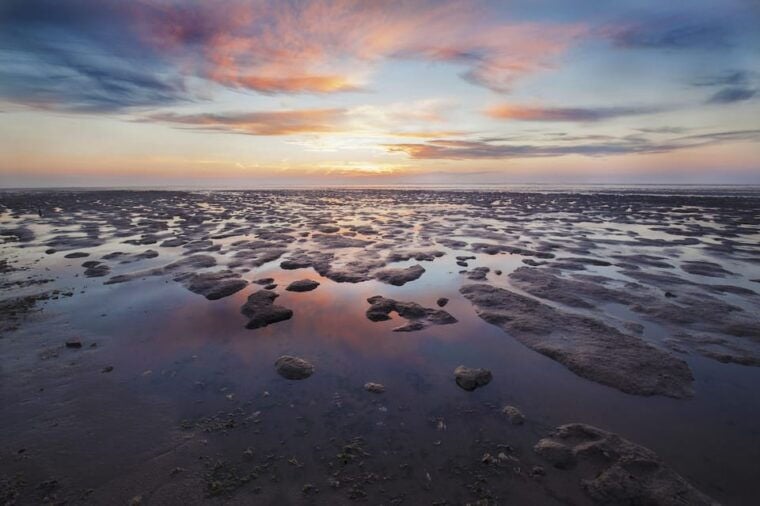 Pieterburen: Wadden Sea Mudflats Guided Walking Tour - What’s Included and What’s Not?