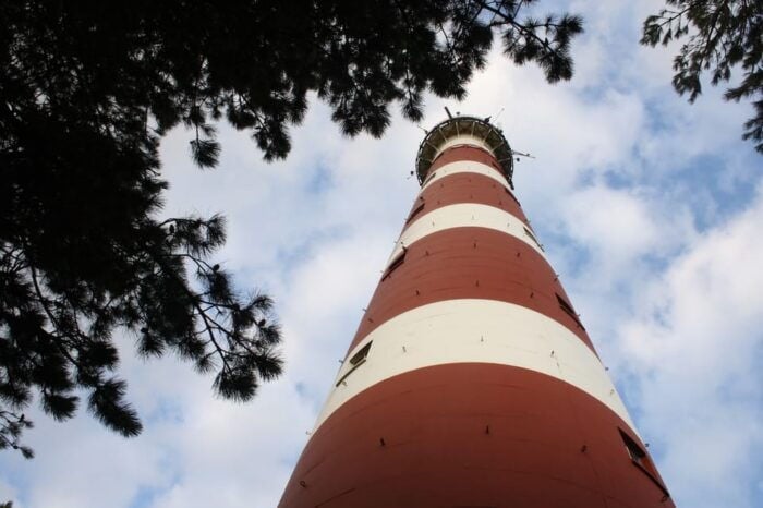 Pieterburen: Wadden Sea Mudflats Guided Walking Tour - FAQs
