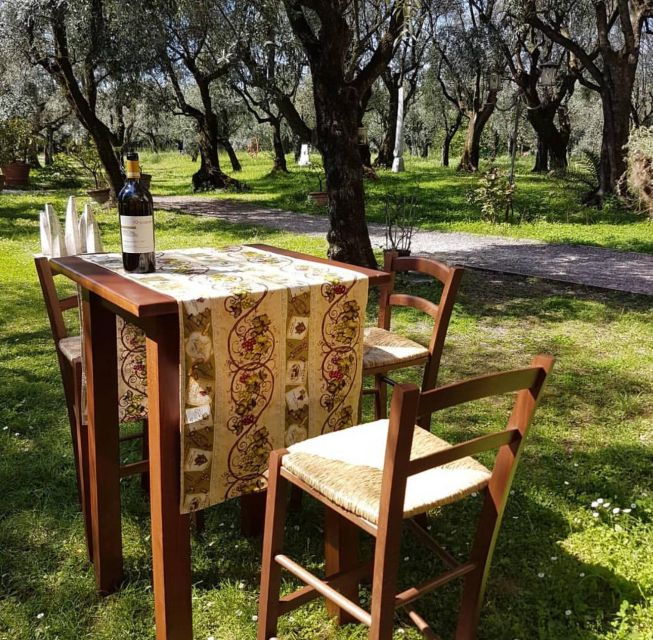 PIETRASANTA: OLIVE OIL, FOOD AND WINE TASTING - Itinerary Overview