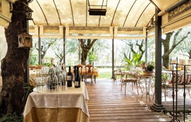 PIETRASANTA: OLIVE OIL, FOOD AND WINE TASTING - Experience Description