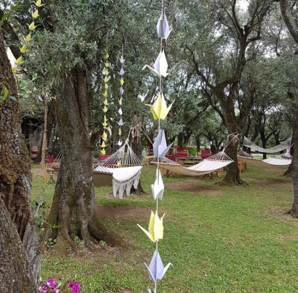 PIETRASANTA: OLIVE OIL, FOOD AND WINE TASTING - Frequently Asked Questions