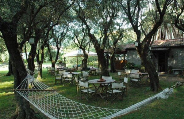 PIETRASANTA: OLIVE OIL, FOOD AND WINE TASTING - The Sum Up