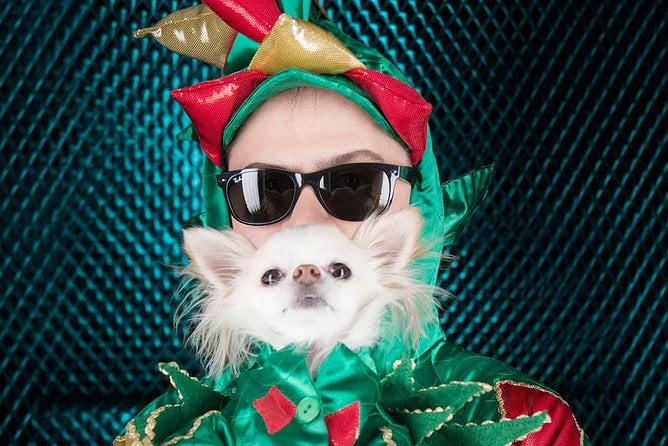 Piff the Magic Dragon at the Flamingo Las Vegas - Reviews