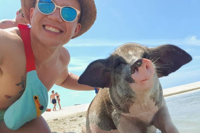 Pig Island Day Trip From Koh Samui by Speedboat - Traveler Photos and Highlights
