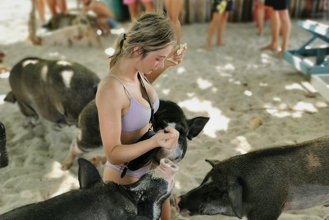 Pig Island Day Trip From Koh Samui by Speedboat - Cancellation Policy and Refund Information
