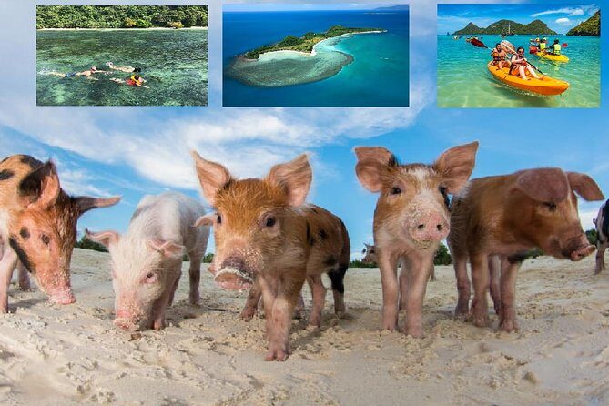 Pig Island Experience By Speed Boat, Snorkeling, Kayaking Relaxing on the Beach - Good To Know