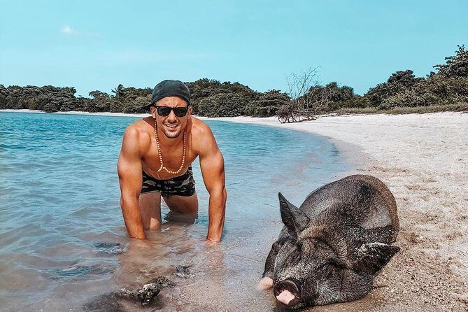 Pig Island Experience By Speed Boat, Snorkeling, Kayaking Relaxing on the Beach - Introduction to the Pig Island Experience