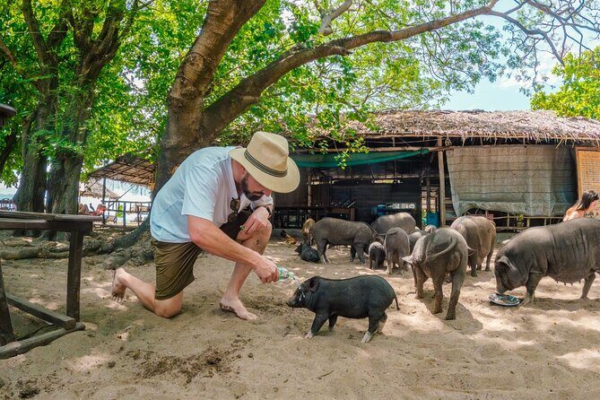 Pig Island (Koh Mudsum) and Koh Tan Tour with Meal from Koh Samui - Transportation and Group Size