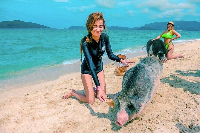 Pig Island (Koh Mudsum) and Koh Tan Tour with Meal from Koh Samui - Final Thoughts: Who Is This Tour Best For?