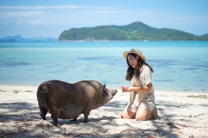 Pig Island (Koh Mudsum) and Koh Tan Tour with Meal from Koh Samui - Good To Know
