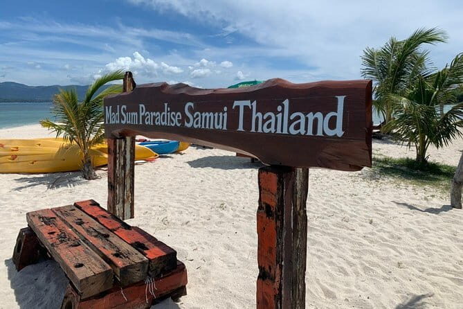 Pig Island & Koh Tan Tour by Speed Boat (Snorkeling & Kayaking) - The Itinerary in Detail