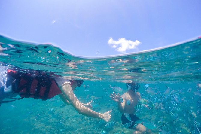 Pig Island & Koh Tan Tour by Speed Boat (Snorkeling & Kayaking) - Directions