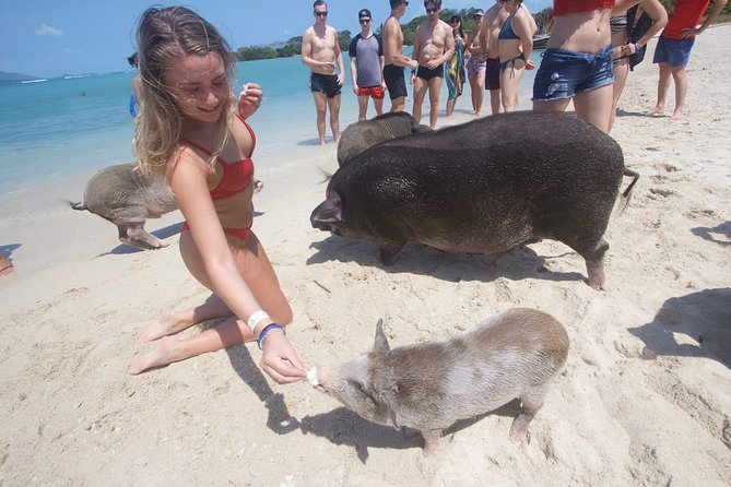 Pig Island Private Beach Full Day From Koh Samui - Thai Version of the Bahamas - Boat Trip From Koh Samui