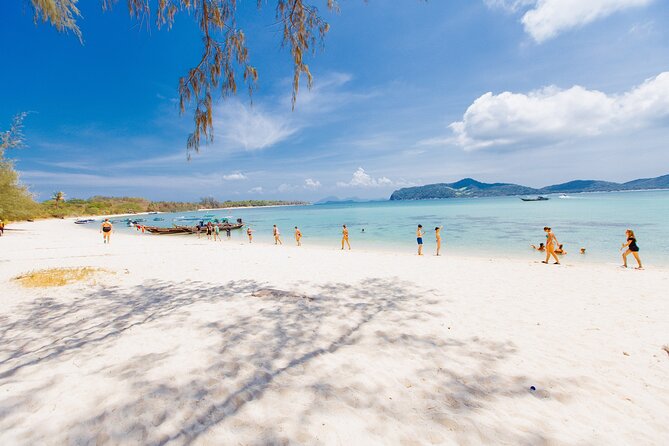 Pig Island Private Longtail Boat Trip From Koh Samui - Inclusions and Amenities