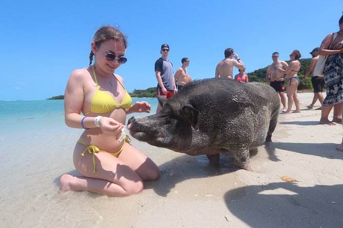Pig Island Private Longtail Boat Trip From Koh Samui - Boat Trip to Pig Island