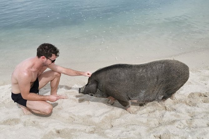 Pig Island Private Longtail Boat Trip From Koh Samui - Reviews and Ratings Overview
