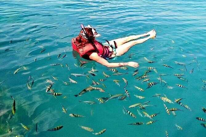 Pig Island ,Snorkeling, Private Long Tail Boat (Local Thai Experience) - FAQ