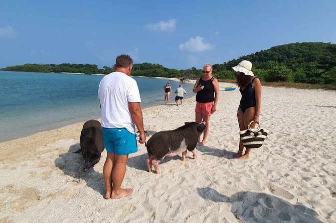 Pig Island Snorkeling & Sightseeing Tour By Speedboat From Koh Samui - Tour Restrictions and Safety Guidelines