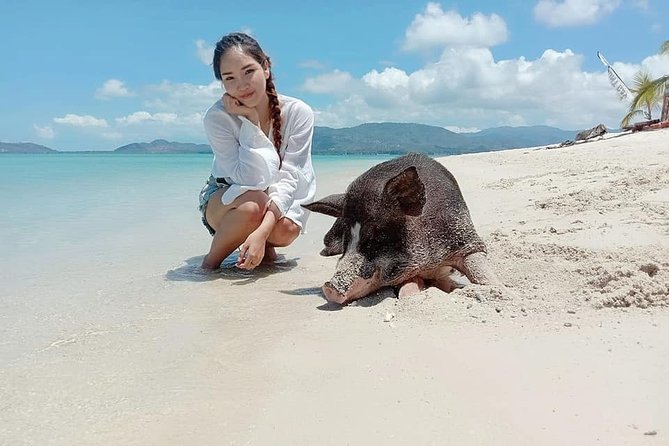 Pig Island Snorkeling & Sightseeing Tour By Speedboat From Koh Samui - Cancellation Policy for the Tour