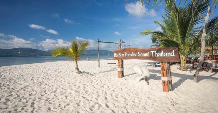Pig Island(Koh Mudsum) and Koh Tan Half Day Snorkeling Tour - Key Points