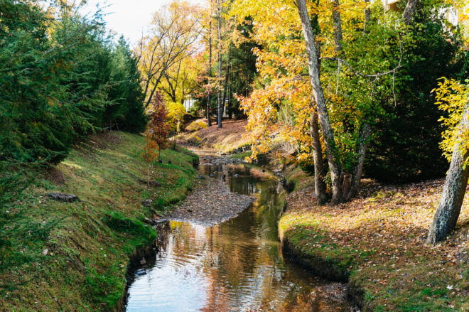 Pigeon Forge: Dollywood Theme Park Entry Ticket - Accessibility Information