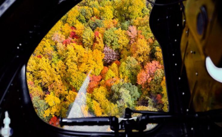 Pigeon Forge: Helicopter Tour of Gatllinburg - Activity Details