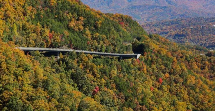 Pigeon Forge: Wears Valley Helicopter Tour - Activity Details