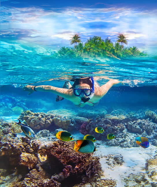 Pigeon Island Snorkeling Tour from Uppuveli Beach - Additional Experiences to Consider