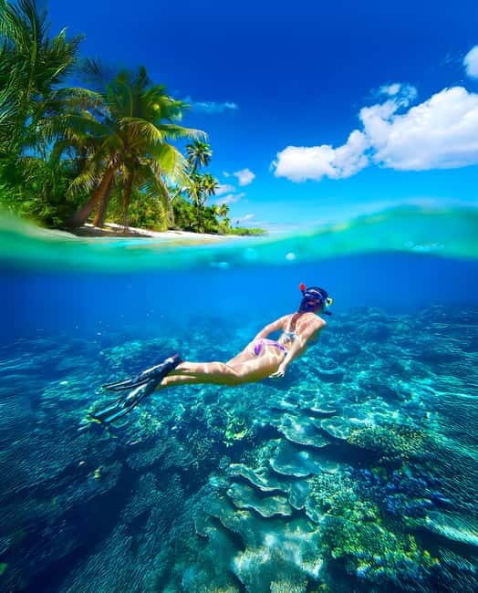 Pigeon Island Snorkeling Tour from Uppuveli Beach - Good To Know