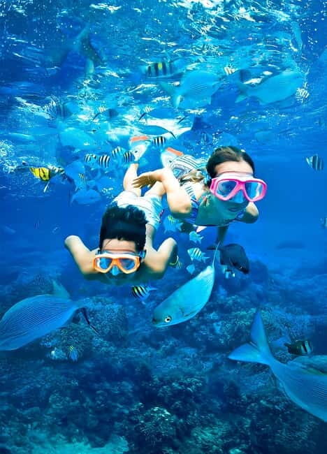 Pigeon Island Snorkeling Tour from Uppuveli Beach - An In-Depth Look at the Pigeon Island Snorkeling Experience