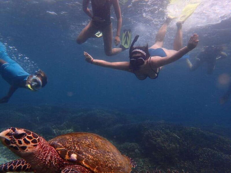 Pigeon Island Snorkeling Tour from Uppuveli Beach - The Sum Up