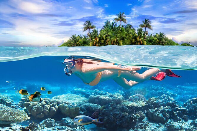 Pigeon Island Snorkeling Tour From Uppuveli Beach - Good To Know