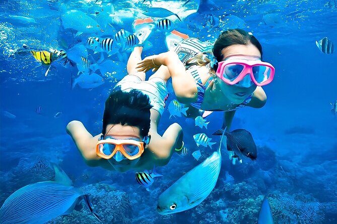 Pigeon Island Snorkeling Tour From Uppuveli Beach - What the Tour Offers: A Deep Dive