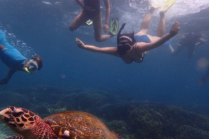 Pigeon Island Snorkeling Tour From Uppuveli Beach - Who Should Consider This Tour?