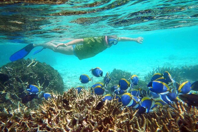 Pigeon Island Snorkeling Tour in Trincomalee - Good To Know