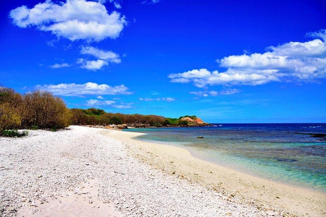 Pigeon Island Snorkeling Tour in Trincomalee - National Park Entrance Fees