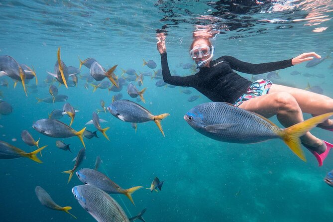 Pigeon Island Snorkeling Tour in Trincomalee - Cancellation Policy
