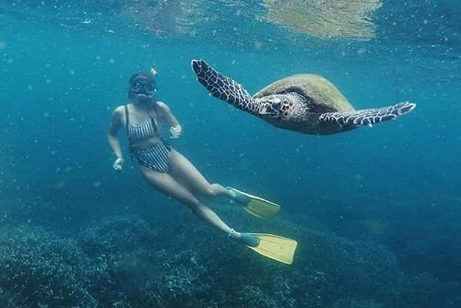 Pigeon Island Snorkeling Trip - Booking and Reservation