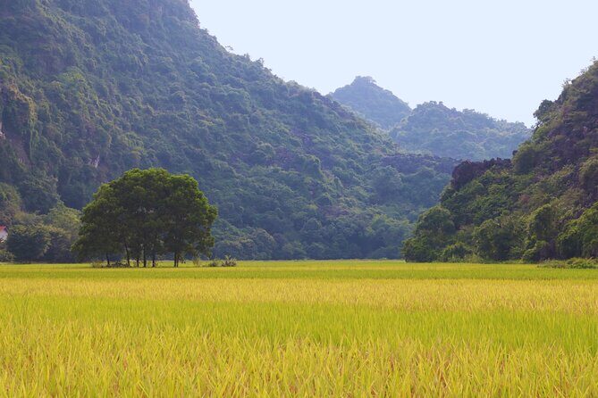 PiGo Ninh Binh E Bike Adventure - Why Choose the PiGo Ninh Binh E Bike Adventure?