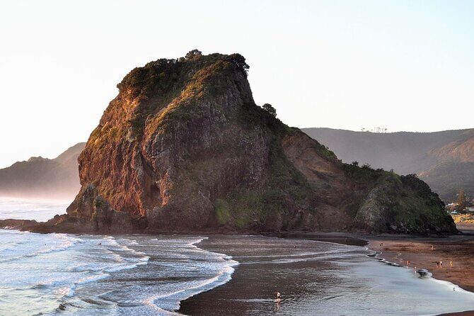 Piha Beach & Wilderness Nature : PRIVATE TOUR 8 hrs - Good To Know
