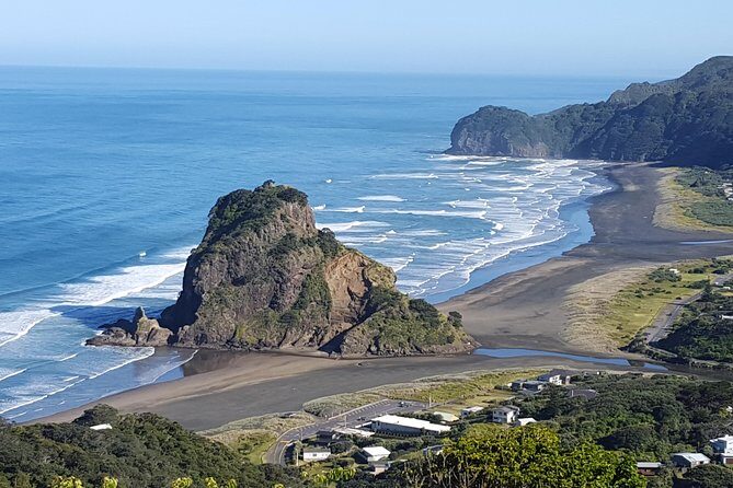 Piha Beach & Wilderness Nature : PRIVATE TOUR 8 hrs - Who Should Consider This Tour?