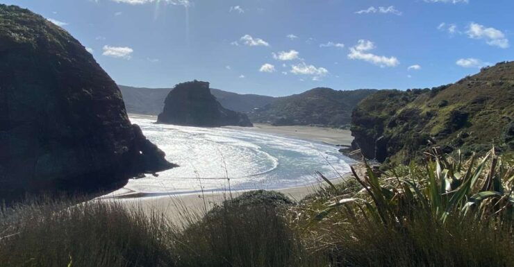 Piha & Karekare - Bay Of The Boisterous Seas - Private Tour - Tour Highlights