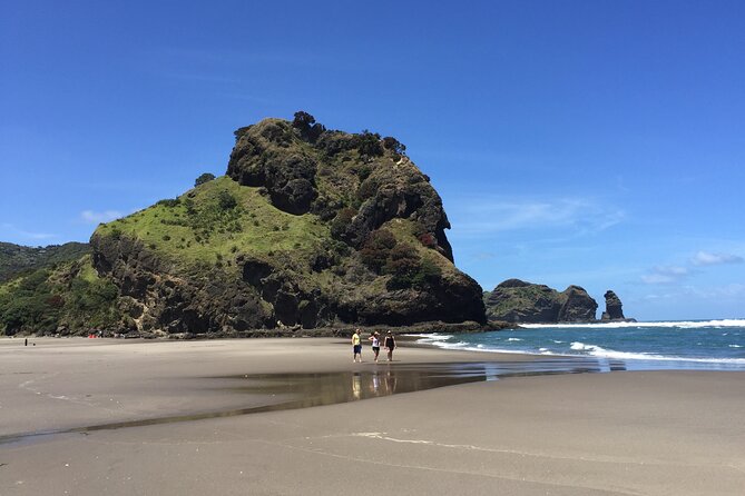 Piha Waitakere Rainforest Wine Tour From Auckland - Tour Highlights