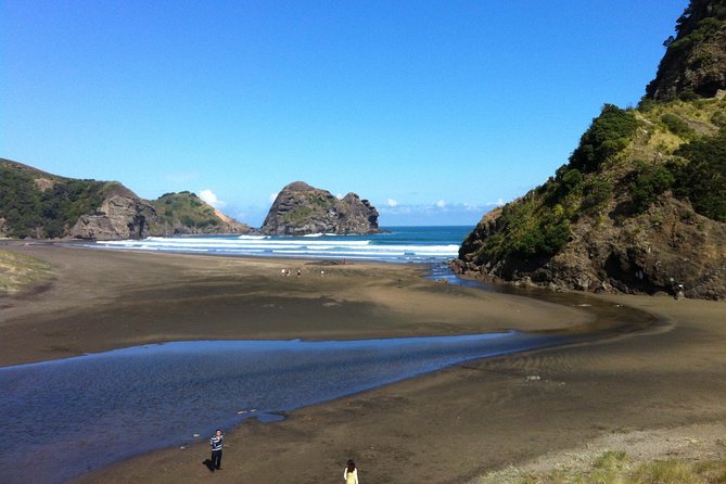 Piha Waitakere Rainforest Wine Tour From Auckland - Lunch and Dining Experience