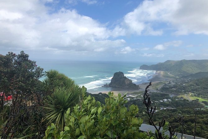 Piha Waitakere Rainforest Wine Tour From Auckland - Guides Expertise and Recommendations