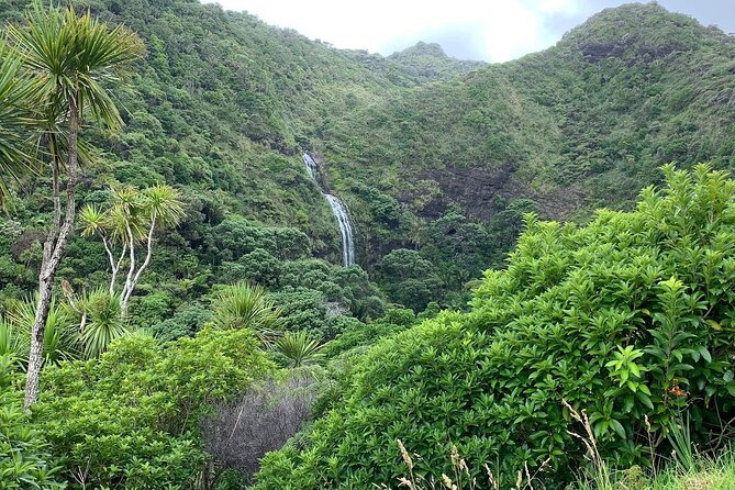 Piha Waitakere Rainforest Wine Tour From Auckland - Featured Review by Kim_K