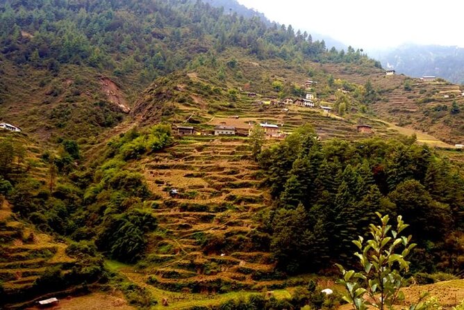 Pike Peak Amazing Short Trek From Kathmandu Nepal - Pricing and Contact Information