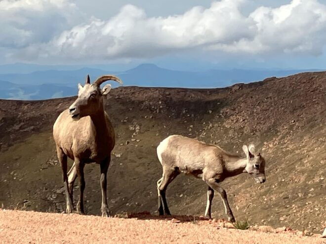Pikes Peak Tour - Important Information